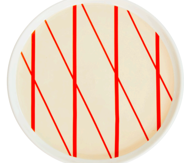 Sardine Plates