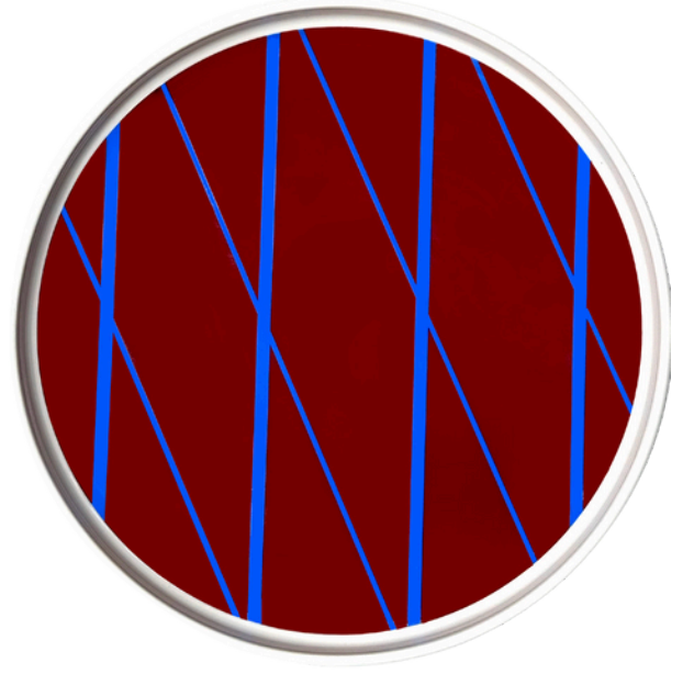 Sardine Plates