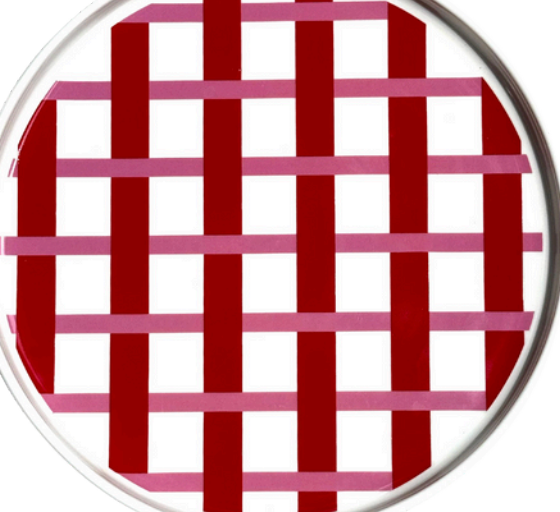 Sardine Plates