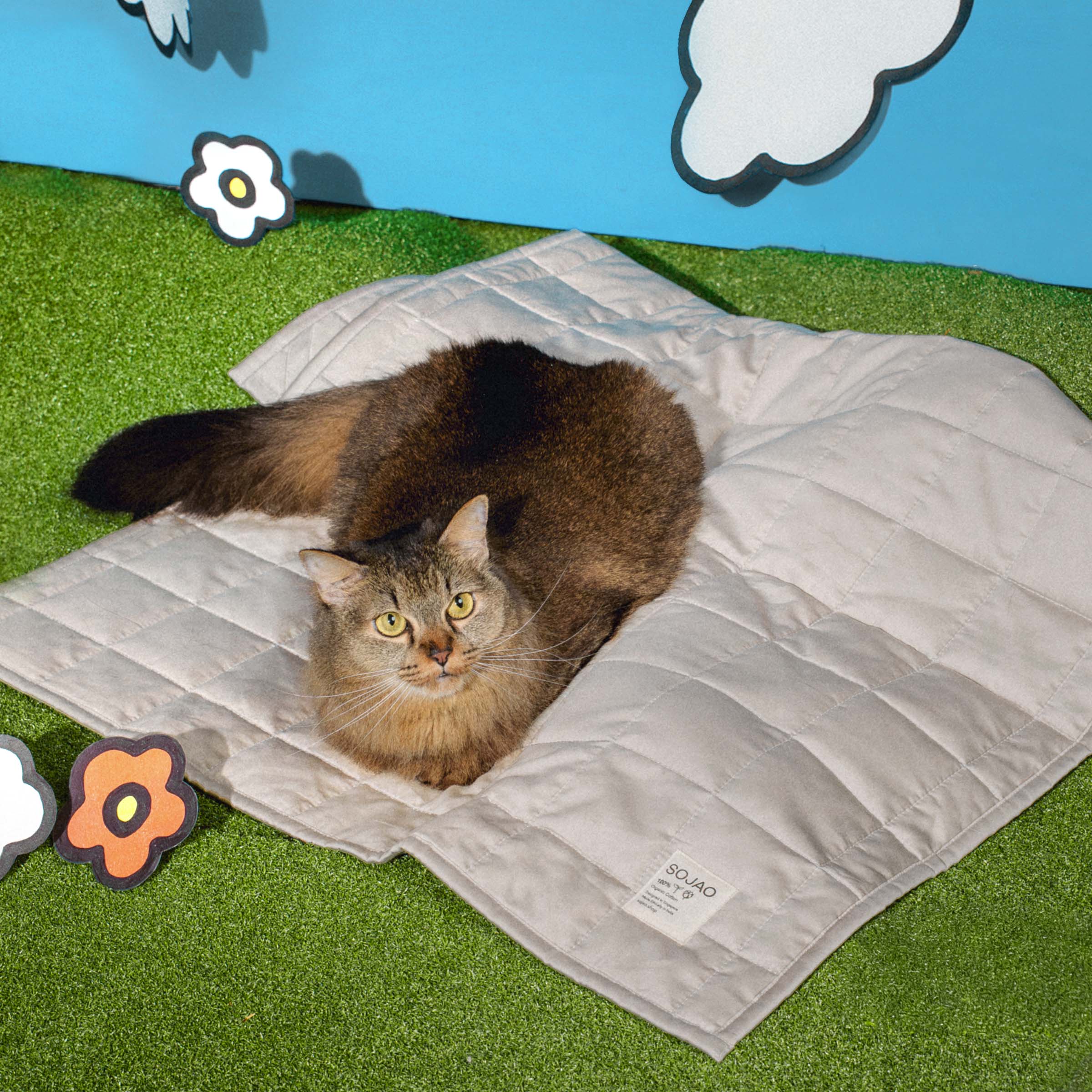 Organic Cotton Pet Quilts