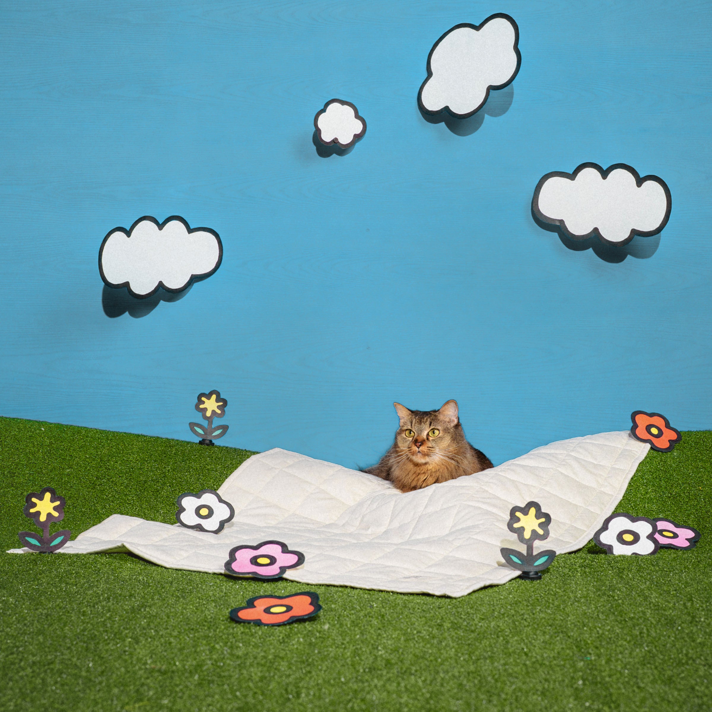Organic Cotton Pet Quilts